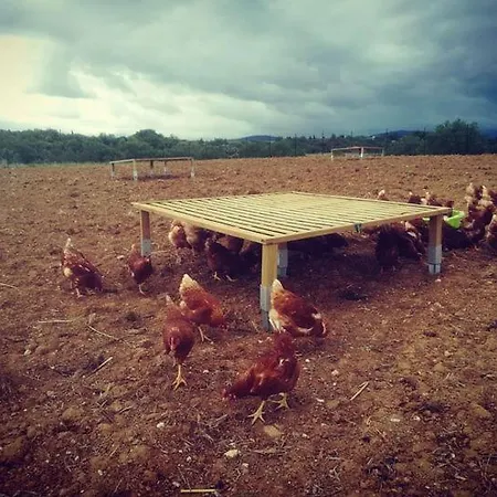 Tiny House Roulotte Pleine Campagne Dans Ferme Biologique Campsite *