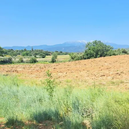 캠프장 Tiny House Roulotte Pleine Campagne Dans Ferme Biologique 튀르