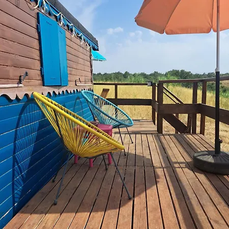 Campsite Tiny House Roulotte Pleine Campagne Dans Ferme Biologique Thuir